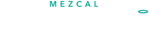 Meta Landing | Envision Studios Santo Gusano logo